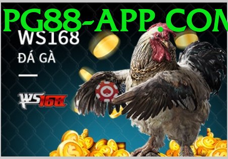 Trường Đấu Đá Gà Chuyên Nghiệp - Giải đấu